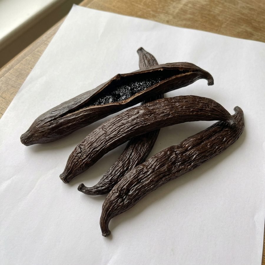 Vanilla pompona