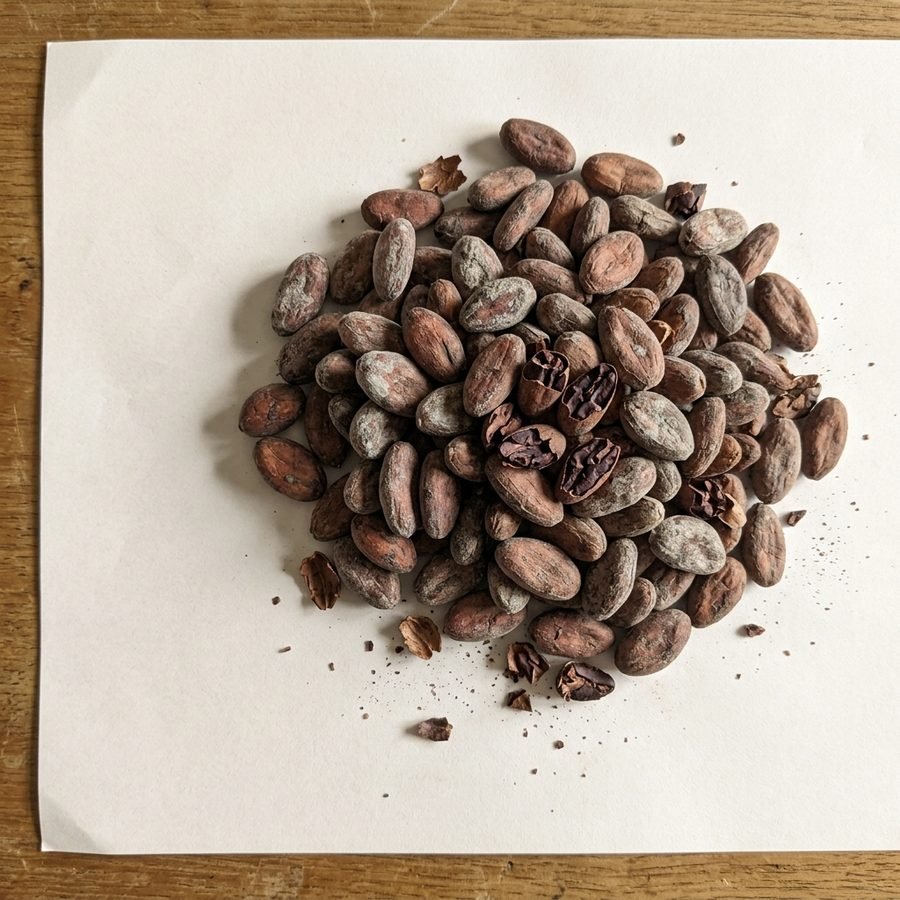 Cacao fino de aroma