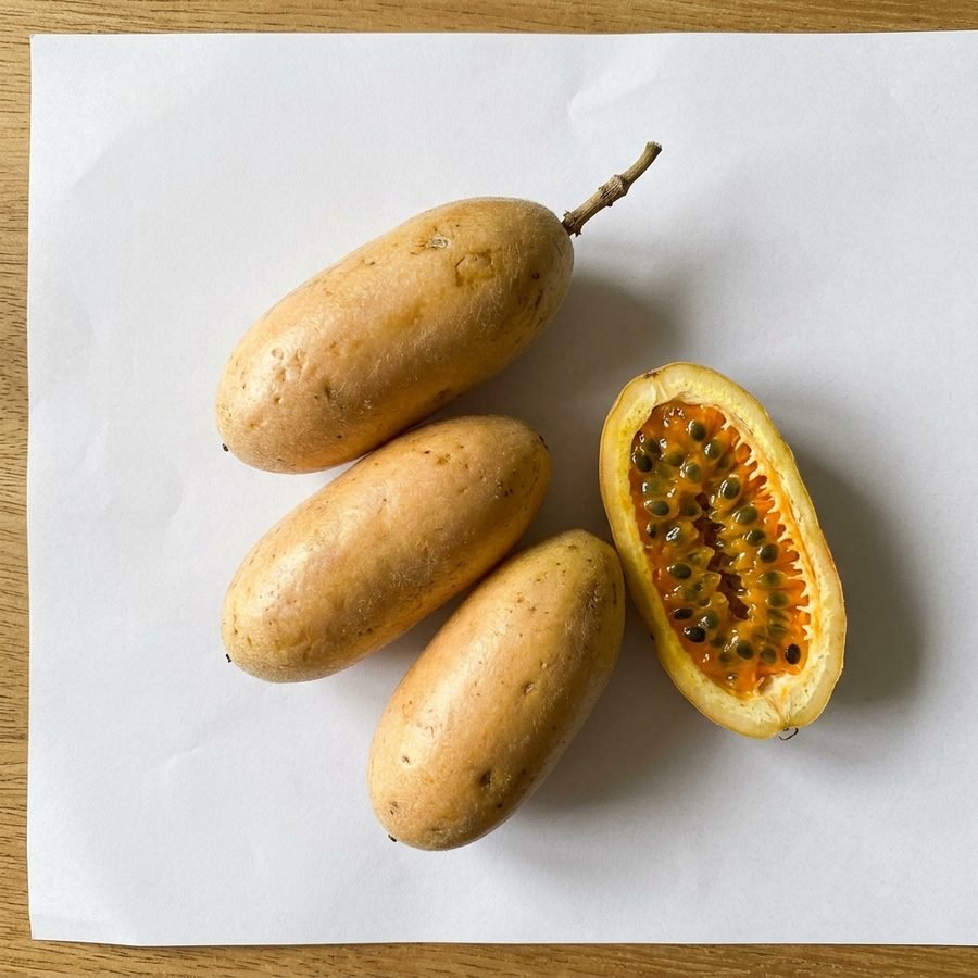 Tumbo (banana passion fruit)