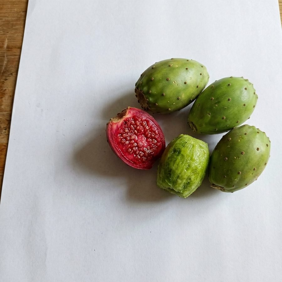Prickly pear