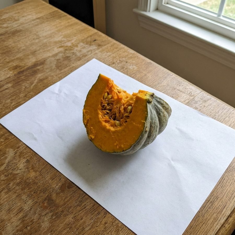 Macre squash