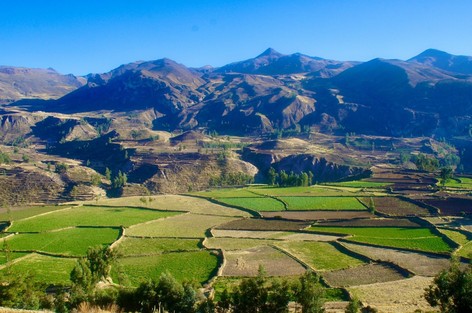 Terrazas agrícolas en los Andes